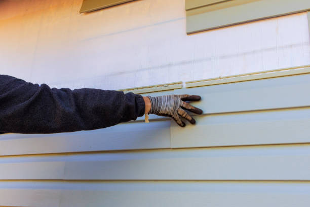 Affordable Siding Repair and Maintenance Services in Santa Monica, CA